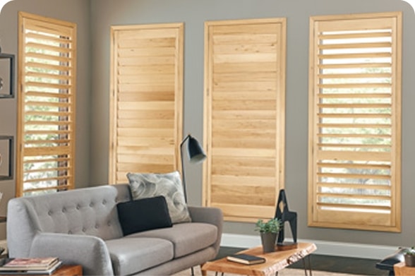 moto-shutters