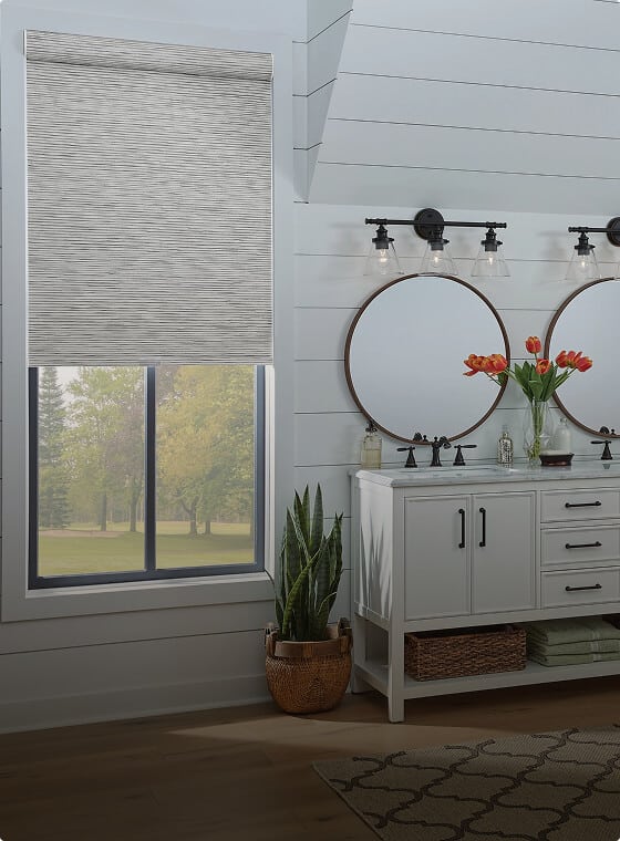 roller-shades