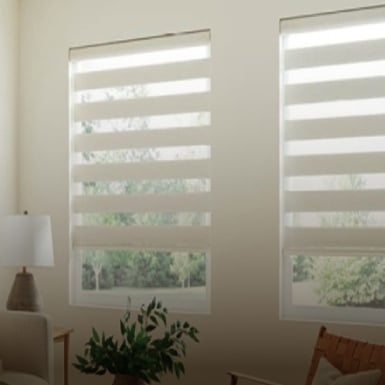 blinds-backbg